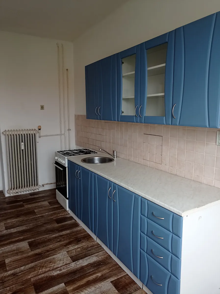 Pronájem bytu 1+1 36 m²